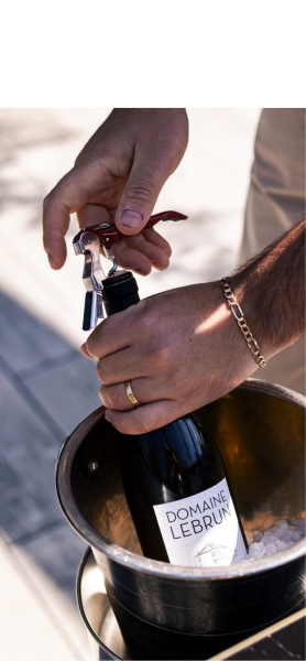 La Terrasse De Domont - restaurant DOMONT
